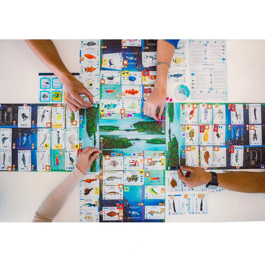 Finspan – A Wingspan Game | Strategy Board Game for Bird Lovers & Enthusiasts - Jaiman Toys